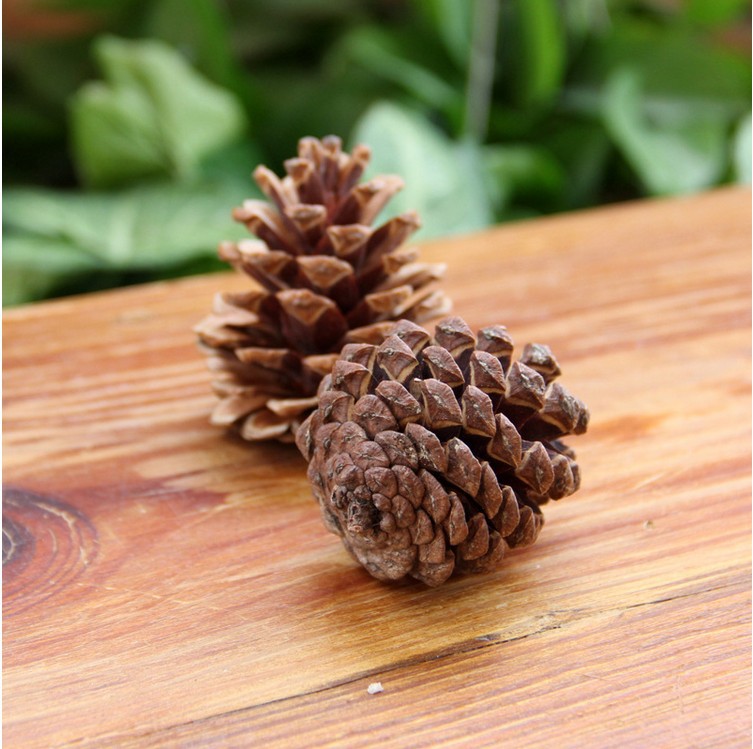 Christmas 4 cm Natural DIY Pine Cone Decoration detail image 15