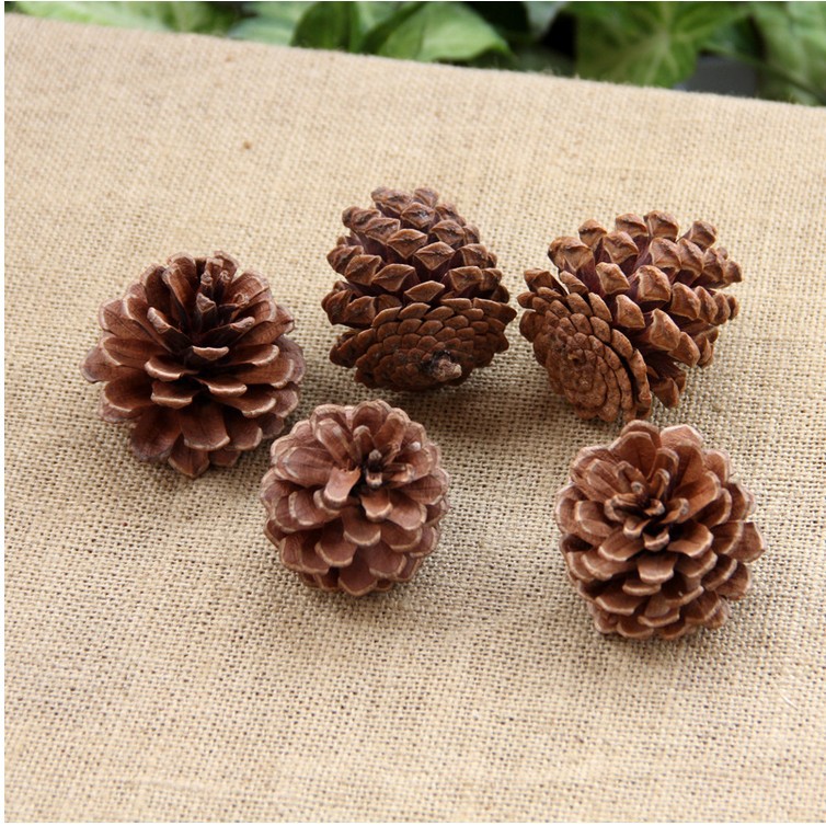 Christmas 4 cm Natural DIY Pine Cone Decoration detail image 14
