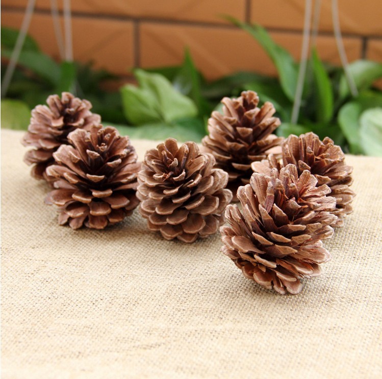 Christmas 4 cm Natural DIY Pine Cone Decoration detail image 12