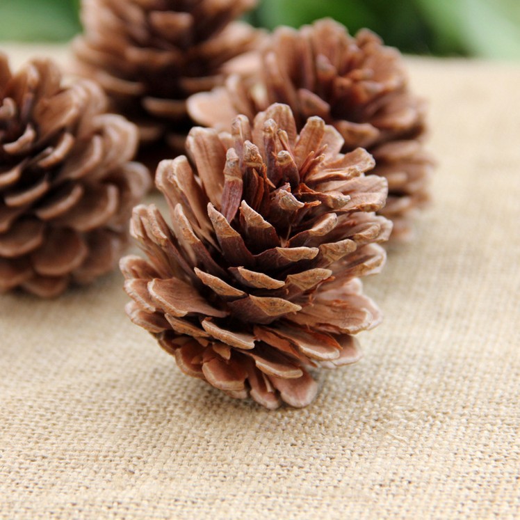 Christmas 4 cm Natural DIY Pine Cone Decoration detail image 13