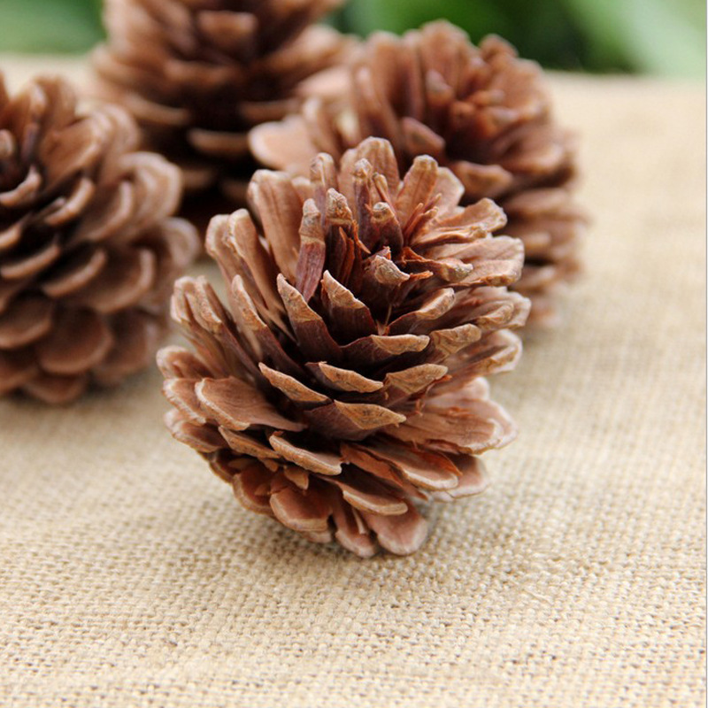 Christmas 4 cm Natural DIY Pine Cone Decoration detail image 17
