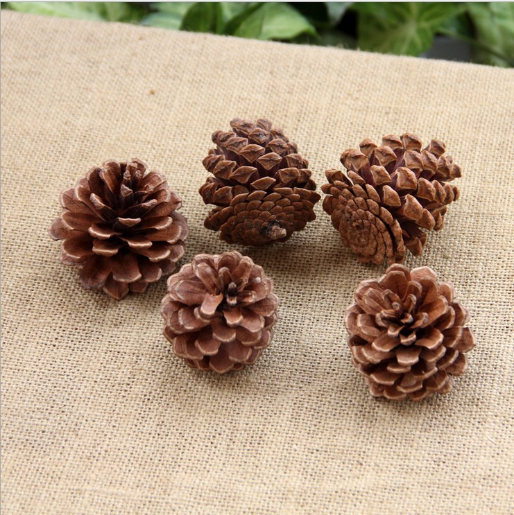 Christmas 4 cm Natural DIY Pine Cone Decoration detail image 11